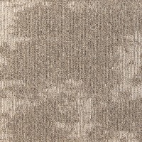 Grafico Project-SDN 717